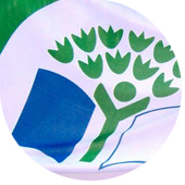 Bandeira Verde Eco-Escola 2010/2011!